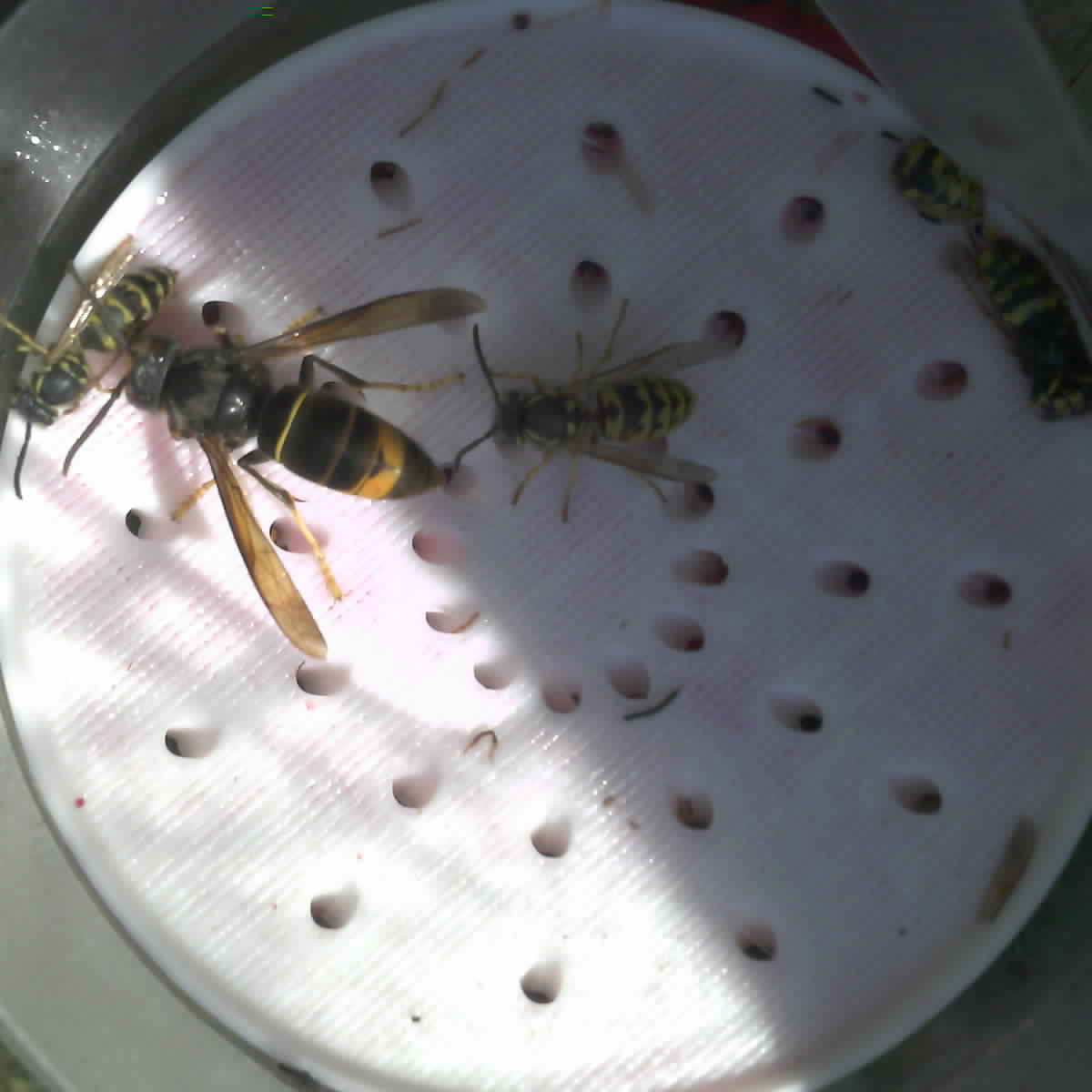 best image